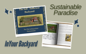 Read more about the article The Self-Sufficient Backyard Review: The Ultimate Guide To Blissful Living