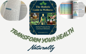 Read more about the article The Holistic Guide to Wellness Review: Achieve Ultimate Health Naturally