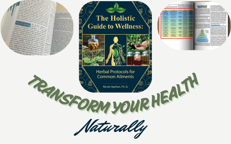 You are currently viewing The Holistic Guide to Wellness Review: Achieve Ultimate Health Naturally