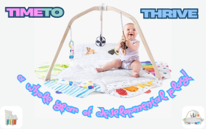 Read more about the article Lovevery Play Gym Review: The Amazing Smart Toy For Your Baby