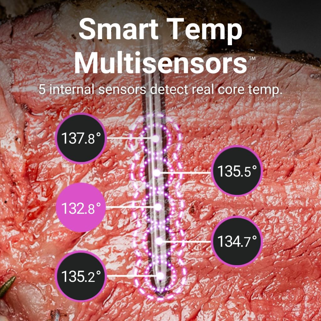 Meater Pro Thermometer