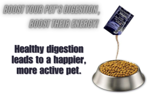 Read more about the article Purina FortiFlora Review: Ultimate Treatment For Your Beloved Pet