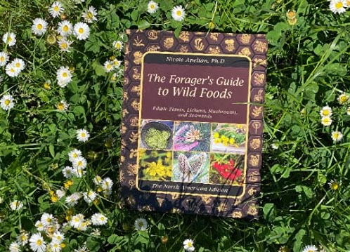 The Forager’s Guide to Wild Foods