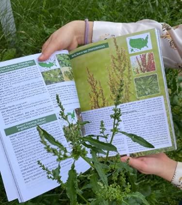 The Forager’s Guide to Wild Foods